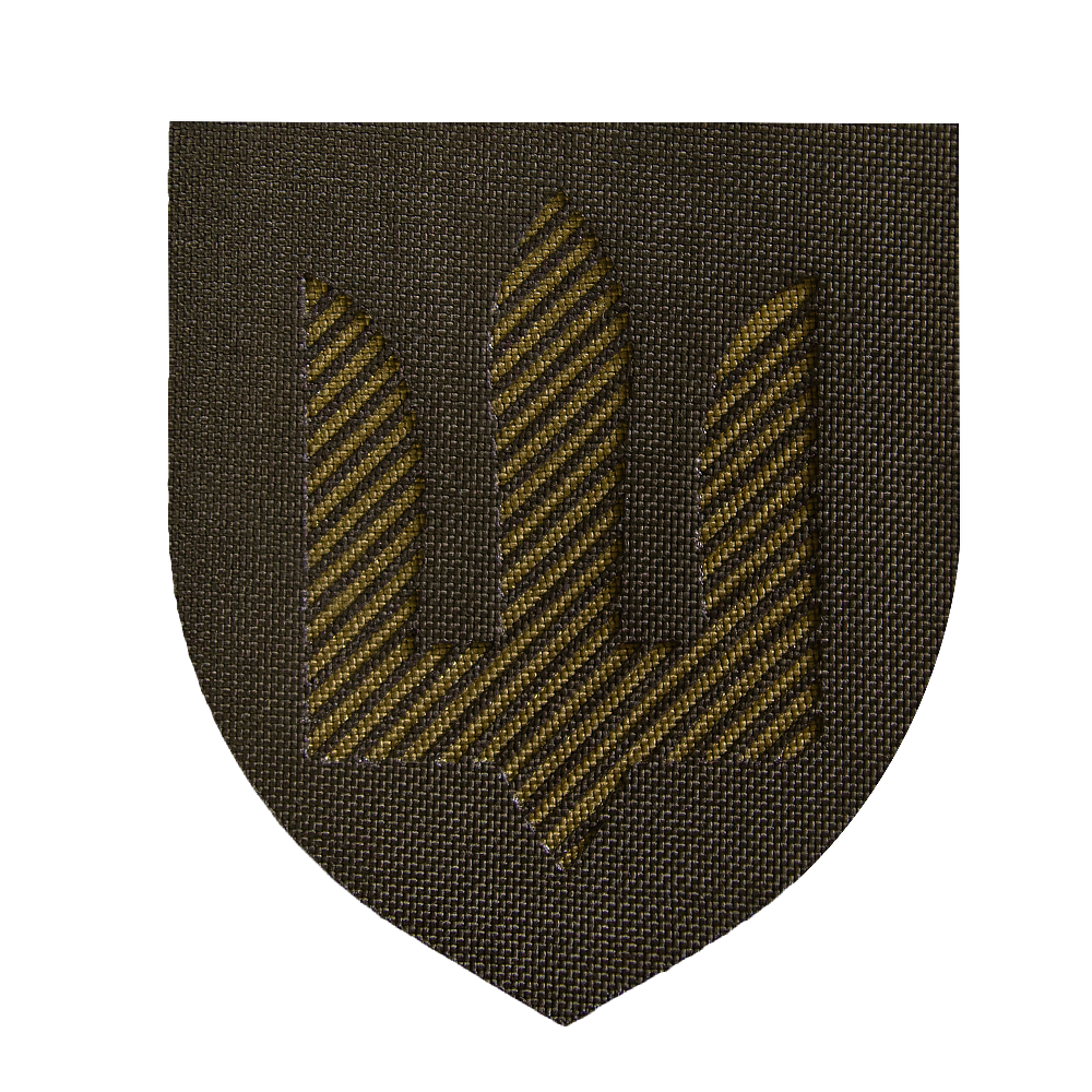 Шеврон Camotec ЗСУ/СВУ Army Olive
