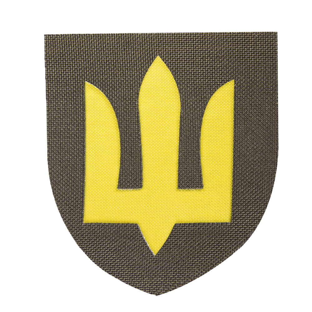 Шеврон Camotec ЗСУ Сухопутні війська (7*8) Олива/Жовтий