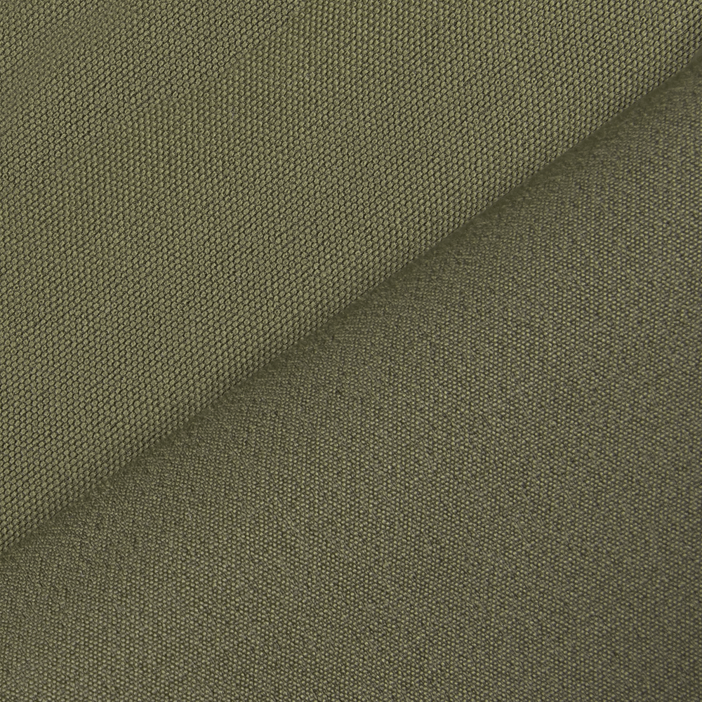 Шорти Lizard Nylon Олива